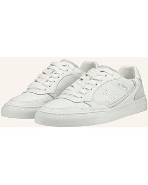 Pavement Sneaker CECILIE - Natur