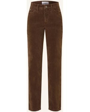 Cambio 7/8-Hose PIPER aus Samt - Braun