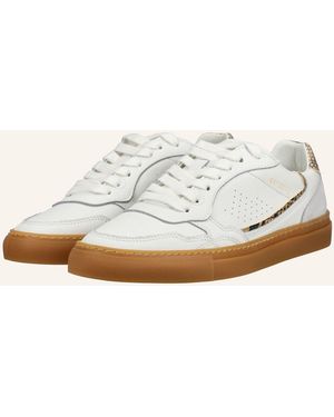 Pavement Sneaker CECILIE - Natur