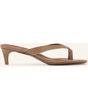 Reiss Zehentrenner MIA - Natur