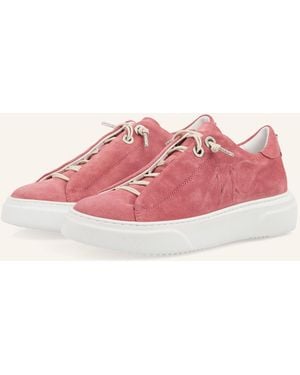 Marc Cain Sneaker - Pink