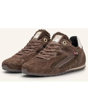 Floris Van Bommel Sneaker ILLVI 01 - Braun