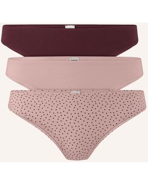 HESSNATUR Slip Regular Cut 3er Pack - Lila