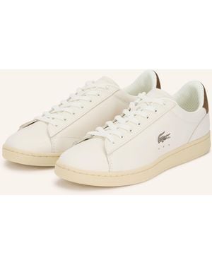 Lacoste Sneaker CARNABY SET - Natur