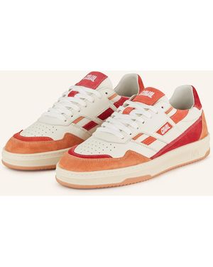 Caval Sneaker PLAYGROUND - Pink