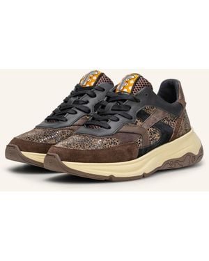 Floris Van Bommel Sneaker HOLLI 01 - Braun