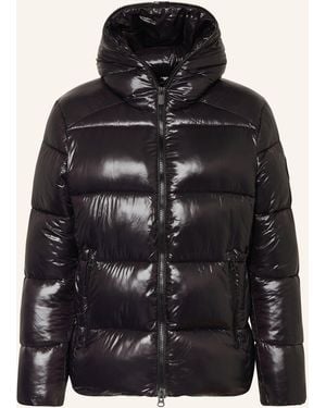 Save The Duck Steppjacke EDGARD - Schwarz