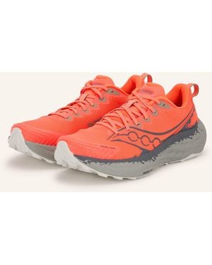 Saucony Trailrunning-Schuhe RIDE TR3 - Pink