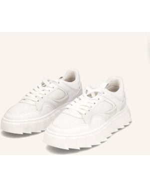 Apple Of Eden Sneaker - Natur