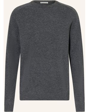 Knowledge Cotton Pullover - Grau