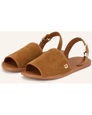 Maje Sandalen - Braun