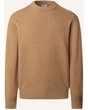 Hackett Pullover SR NATURAL CREW - Braun