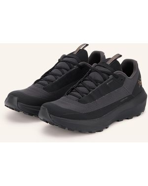 Arc'teryx ARC'TERYX Trailrunning-Schuhe NORVAN LD 4 GTX - Schwarz