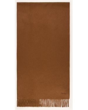 Max Mara Cashmere-Schal BACI - Braun