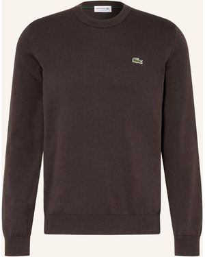 Lacoste Pullover - Grau