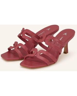 Carrano Mules - Pink