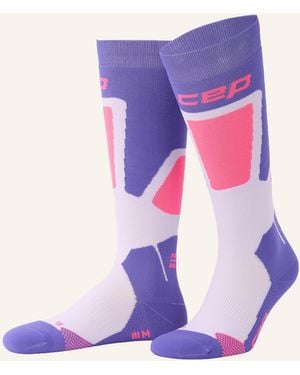 Cep Skisocken SKI THERMO TALL - Lila