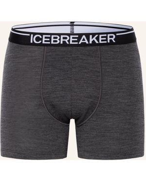 Icebreaker Funktionswäsche-Boxershorts ANATOMICA aus Merinowolle - Grau