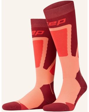 Cep Skisocken SKI THERMO TALL - Rot