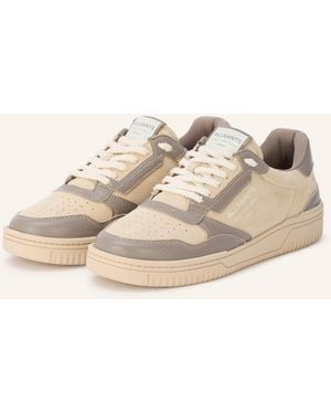 AllSaints Sneaker REGAN - Natur