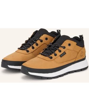Timberland Sneaker FIELD TREKKER - Mehrfarbig