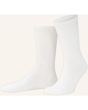 Sandro Socken - Natur