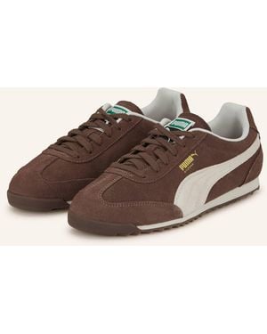 PUMA Sneaker ARIZONA SD - Braun