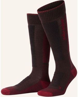 Icebreaker Skisocken MERINO BLEND SKI+ - Rot