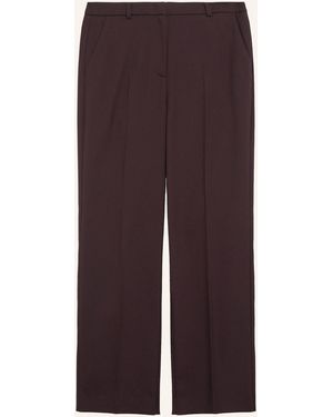 Comma, Hose - Lila