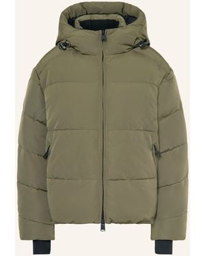 WITHBLACK Steppjacke - Grün