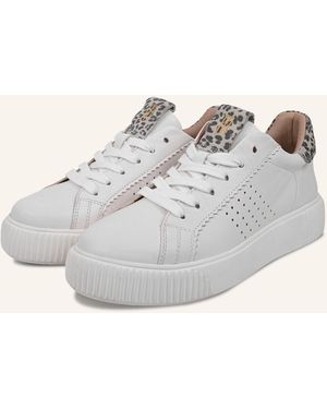 CRICKIT Sneaker ORMA - Grau
