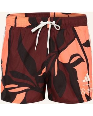 adidas Badeshorts MERCEDES - AMG PETRONAS FORMULA ONE TEAM SUMMER - Mehrfarbig