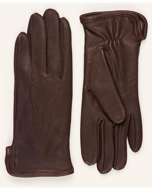 Hestra Lederhandschuhe RACHEL - Braun