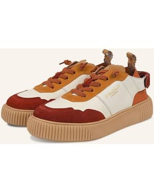 CRICKIT Sneaker PARIA - Braun