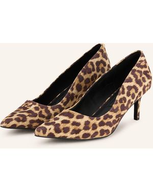 Kurt Geiger Pumps KENSINGTON FLEXI 65 - Braun