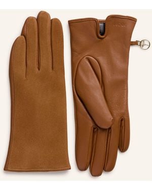 Joop! Lederhandschuhe - Braun