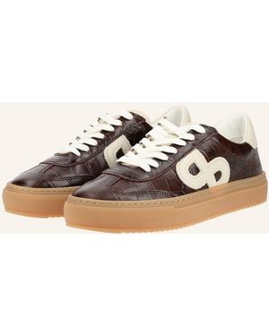 Pavement Sneaker KOHIA CROCO - Braun