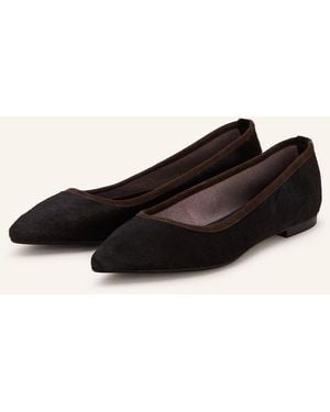 DARLING HARBOUR Ballerinas - Schwarz