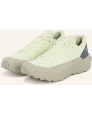 Arc'teryx ARC'TERYX Trailrunning-Schuhe NORVAN LD 4 - Natur