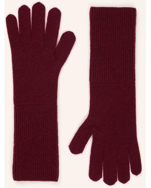 DARLING HARBOUR Handschuhe aus Cashmere - Lila