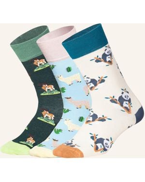 DillySocks Socken ANIMAL ADVENTURES (3ER BOX) - Blau
