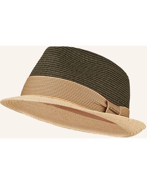 Stetson Hut - Natur