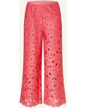 CATNOIR Culotte aus Lochspitze - Rot