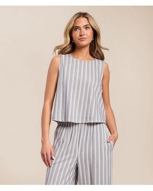 Z Supply Sloan Striped Tank Top - Blue