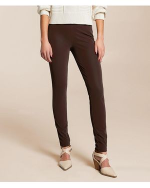 Buckle Black Pull-On Legging - Brown