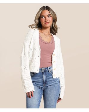 Willow & Root Pointelle Cropped Cardigan Sweater - Blue
