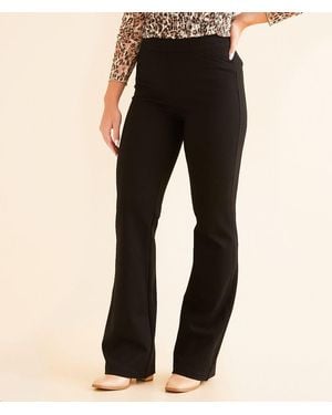 Buckle Black Pull-On Trouser Pant - Black