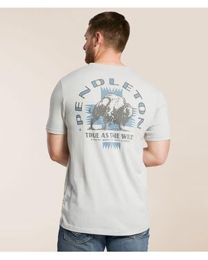 Pendleton Harding Buffalo T-Shirt - Gray