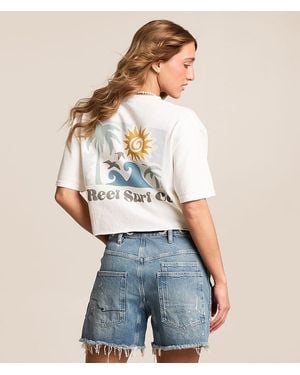 Reef Surf Co. Cropped T-Shirt - White