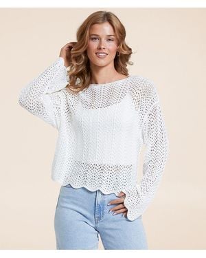 Z Supply Donovan Crochet Cropped Sweater - White